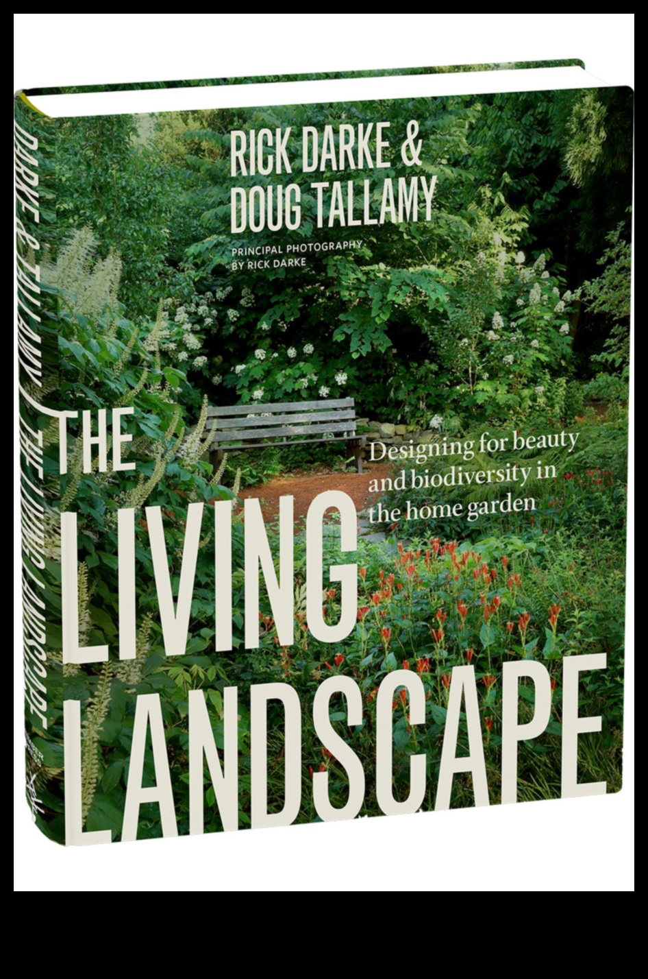 رؤى الأرض: رحلة مصورة عبر المناظر الطبيعية الجميلة