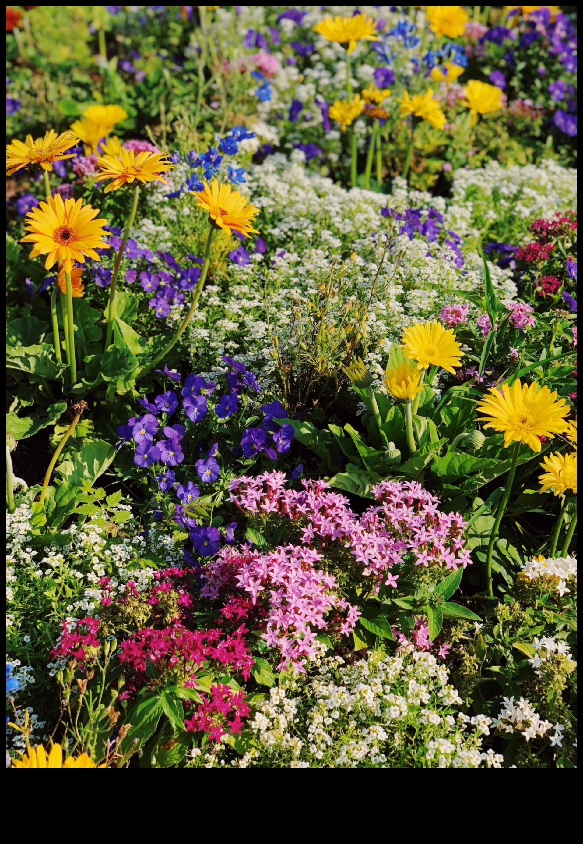 تناغم الحديقة: الموازنة بين الجمال والكفاءة في الصيانة