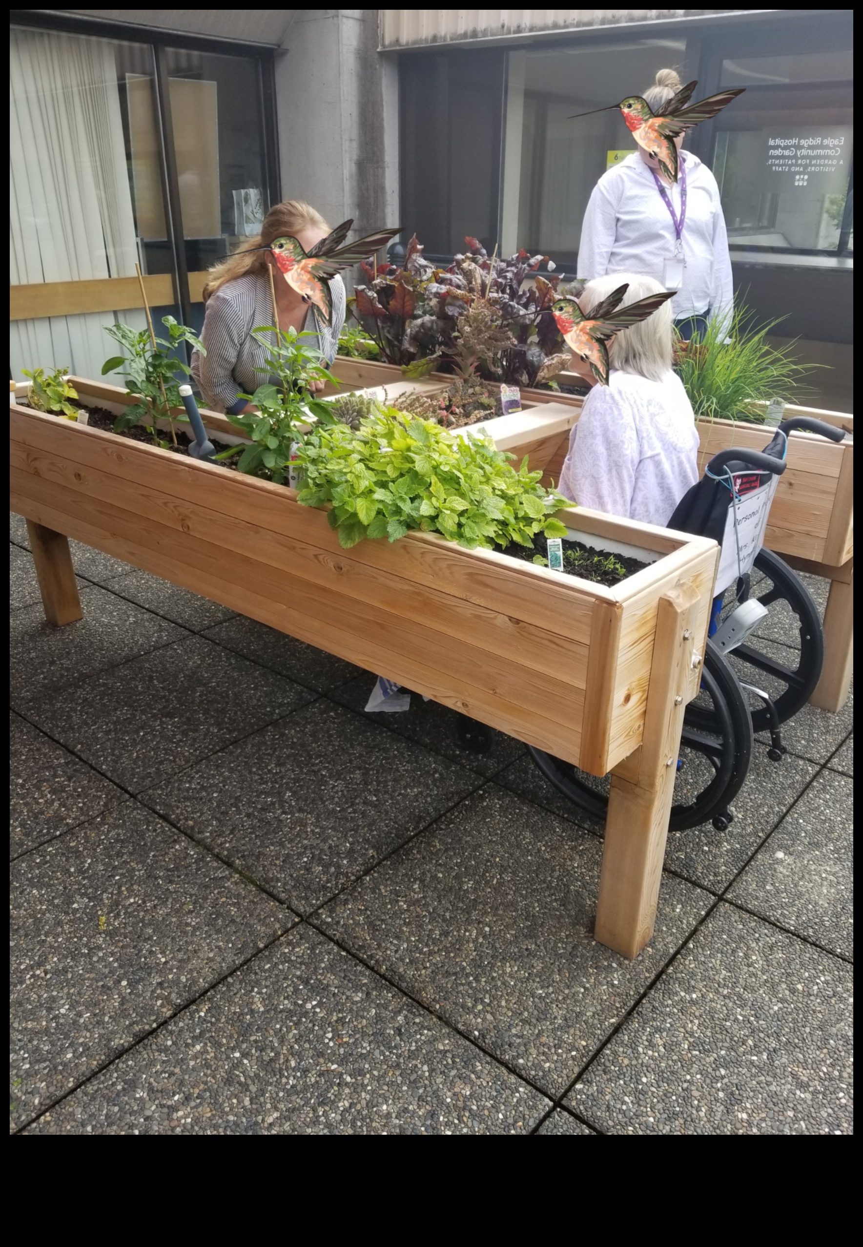 تناغم الحديقة: الموازنة بين الجمال والكفاءة في الصيانة