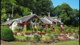 تناغم الحديقة: الموازنة بين الجمال والكفاءة في الصيانة