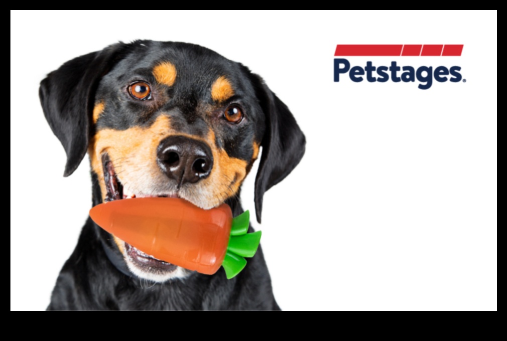 أزمة جزر الكلاب: ألعاب وجبات خفيفة صحية للكلاب