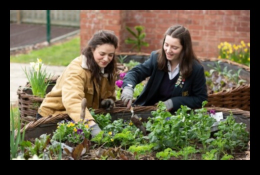 حصاد المعرفة في الحديقة: جني فوائد التعليم