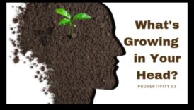 حصاد المعرفة في الحديقة: جني فوائد التعليم