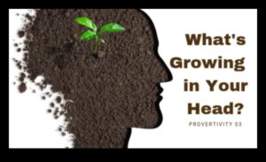 حصاد المعرفة في الحديقة: جني فوائد التعليم