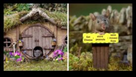 قصر Mousey: منازل متعددة المستويات DIY للقوارض الصغيرة