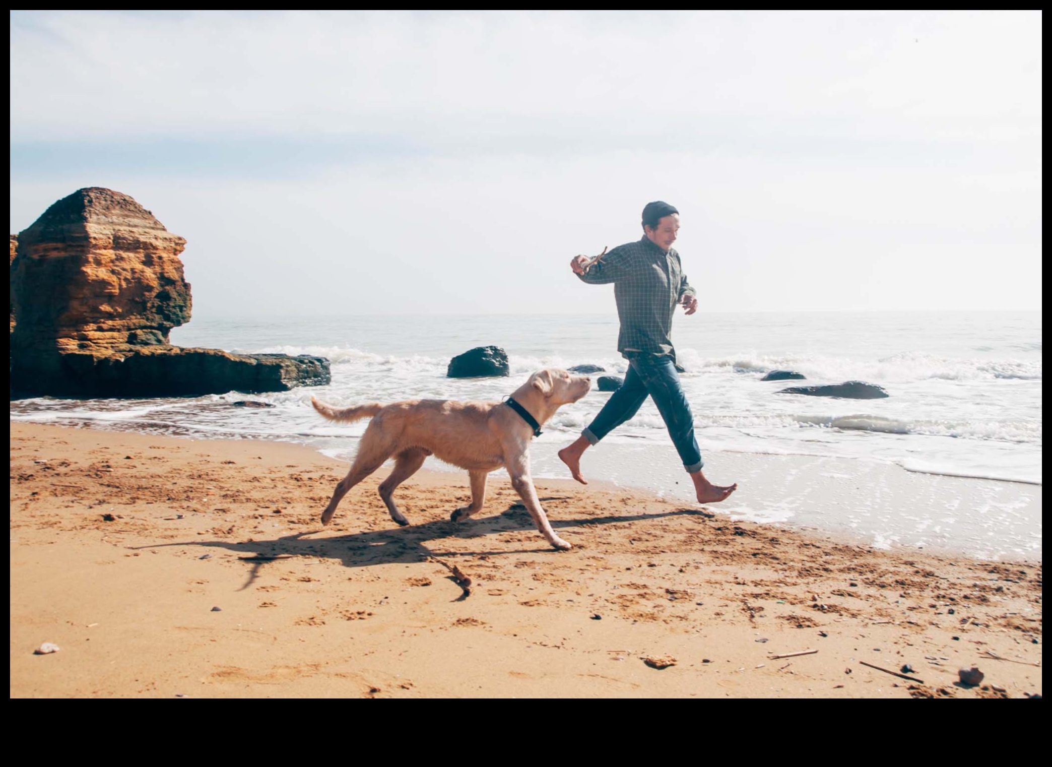 وجهات الكلاب: التخطيط لملاذ مثالي صديق للحيوانات الأليفة