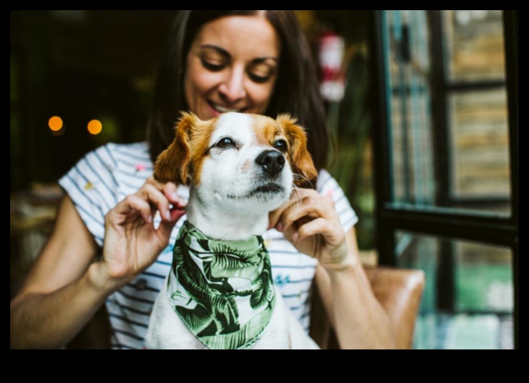 وجهات الكلاب: التخطيط لملاذ مثالي صديق للحيوانات الأليفة