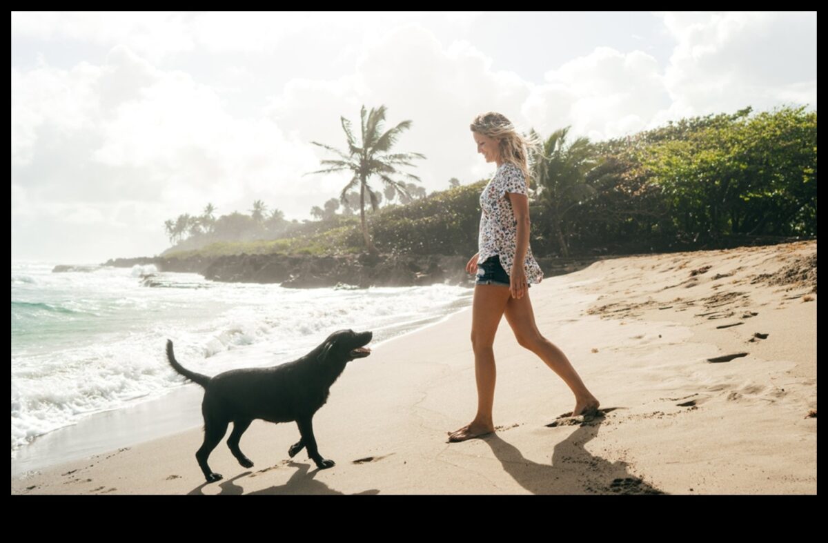 وجهات الكلاب: التخطيط لملاذ مثالي صديق للحيوانات الأليفة