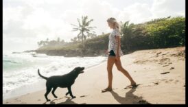 وجهات الكلاب: التخطيط لملاذ مثالي صديق للحيوانات الأليفة