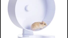 تابع سلامة عجلة الهامستر: ضمان التثبيت والثبات المناسبين