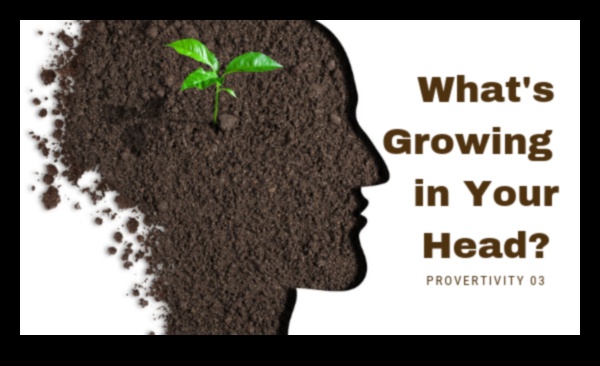 حصاد المعرفة في الحديقة: جني فوائد التعليم