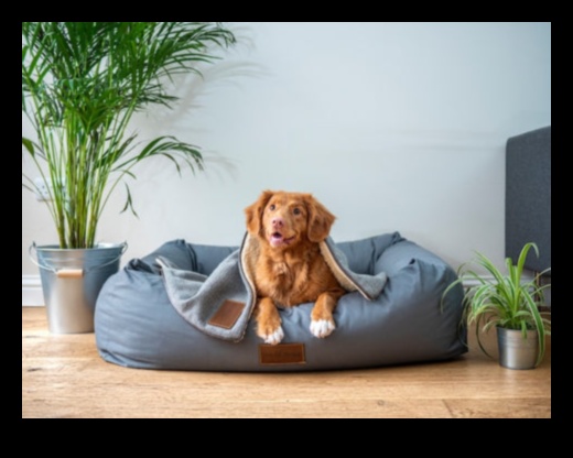 راحة الكلاب: خلق مساحة مريحة لكلبك في المنزل