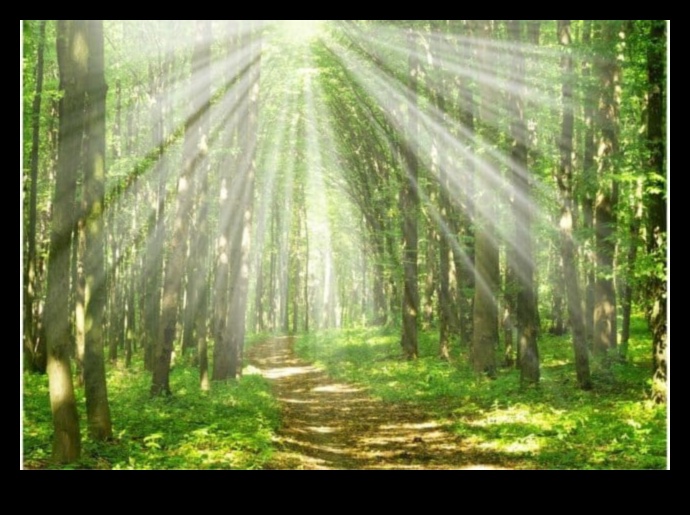 ملاذ في الطبيعة: استكشاف المحميات البيئية